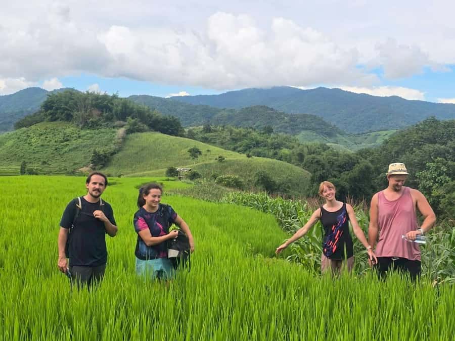 Chiang Rai: Jungle Adventure-Group Trekking & Bamboo Cooking - Bamboo cooking lunch: what you do and why it feels different
