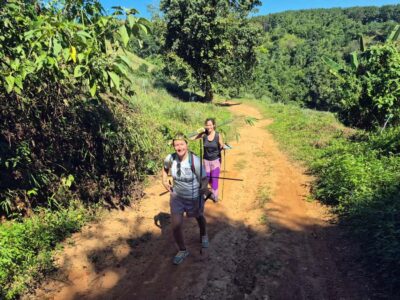 Chiang Rai Jungle Trek & Bamboo Tube Cooking Adventure - The trek: bamboo forests, village life, and what your guide actually explains