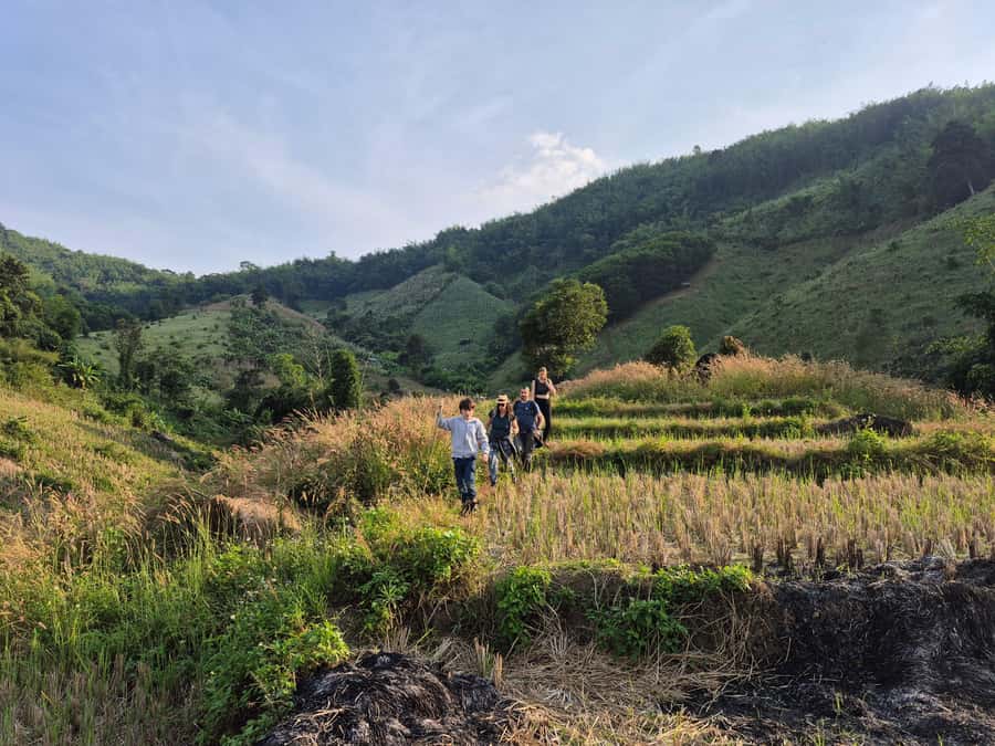 Chiang Rai Jungle Trek & Bamboo Tube Cooking Adventure - Who this tour fits best