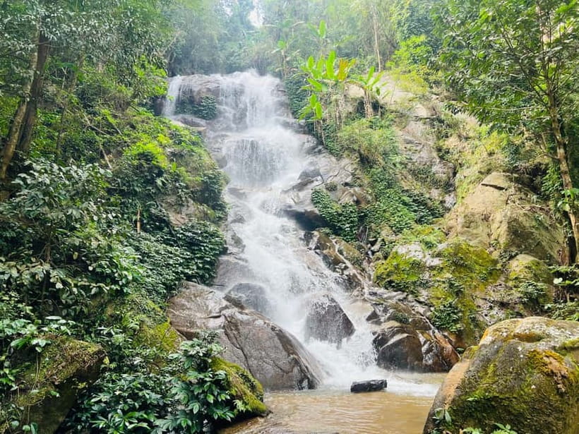 Chiang Rai: The Adventure of Trekking & Bamboo Cooking - A full-day trek from Chiang Rai to Pasoet Hot Spring