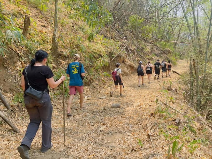Chiang Rai: The Adventure of Trekking & Bamboo Cooking - Bamboo cooking lunch: how it works and what you’ll enjoy
