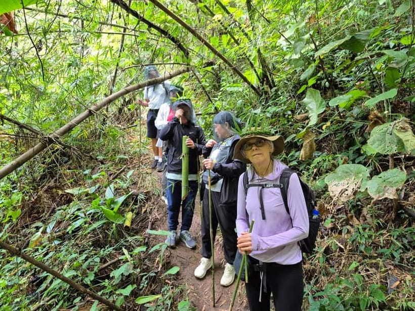 Chiang Rai: The Adventure of Trekking & Bamboo Cooking - Hot spa pool dip and the one extra ticket cost