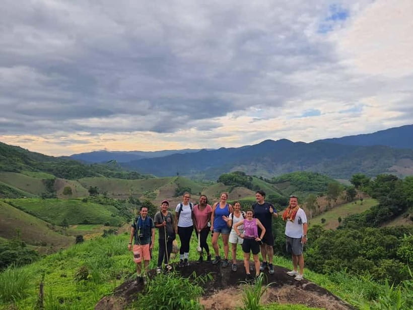 Chiang Rai Trek:Jungle Hike, Bamboo-Cooked Lunch & Boat Ride - Tea plantation break: a breath of open air before lunch
