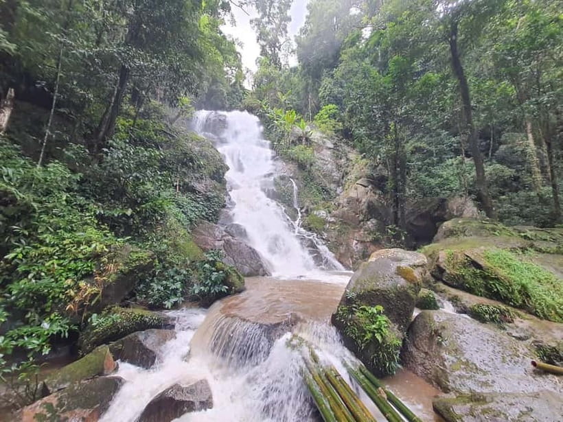 Chiang Rai Trek:Jungle Hike, Bamboo-Cooked Lunch & Boat Ride - Waterfall swim with a current that feels like a massage