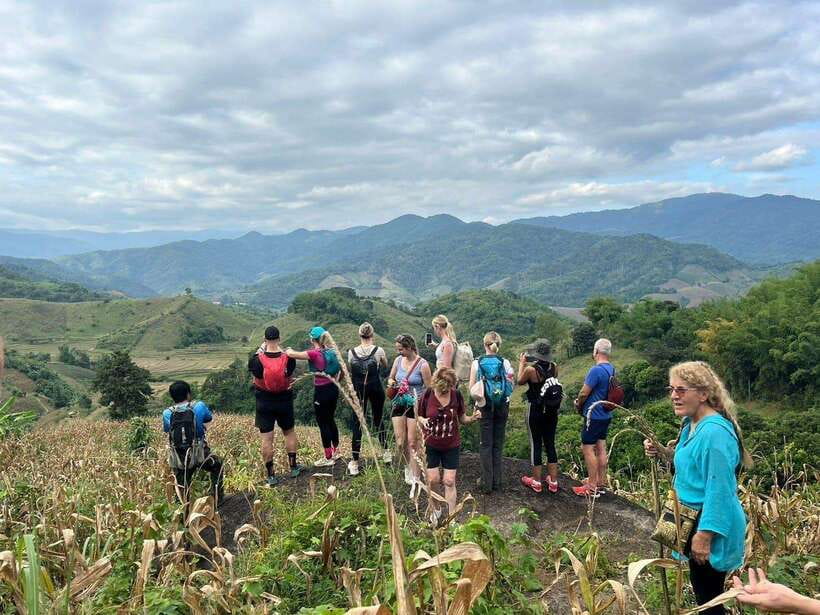 Chiangrai: Group Trekking with Bamboo Cooking - Key Highlights Worth Planning Around