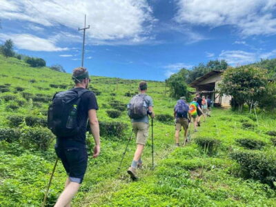Chiangrai: Group Trekking with Bamboo Cooking - The Bamboo Cooking Class: What You’re Really Learning (and Eating)