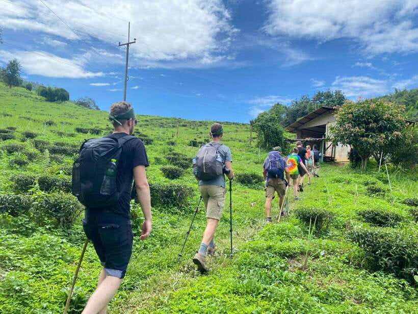 Chiangrai: Group Trekking with Bamboo Cooking - The Bamboo Cooking Class: What You’re Really Learning (and Eating)