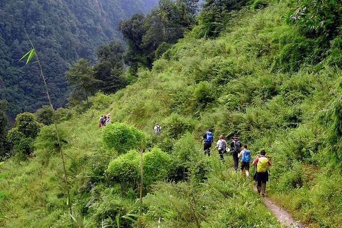 Chisapani - Nagarkot Trek Nepal - 3 Days - Included Meals, Lodges, and Why “What’s Covered” Matters