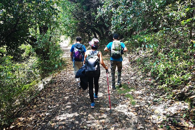 Chisapani - Nagarkot Trek Nepal - 3 Days - Price and Logistics: The $425 Value Check