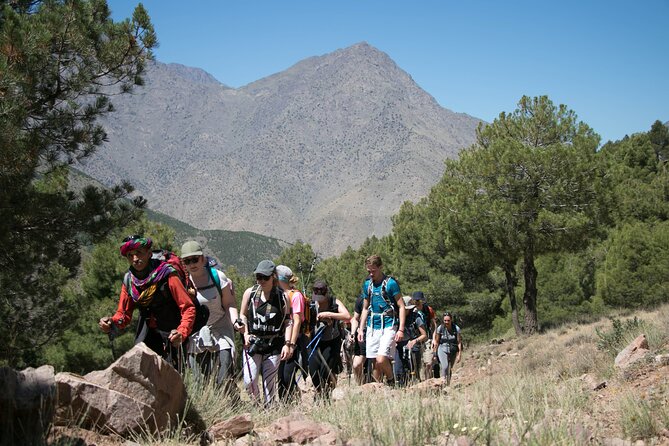 Climb Mount Toubkal - trekking - 3 days - Key Highlights You’ll Care About