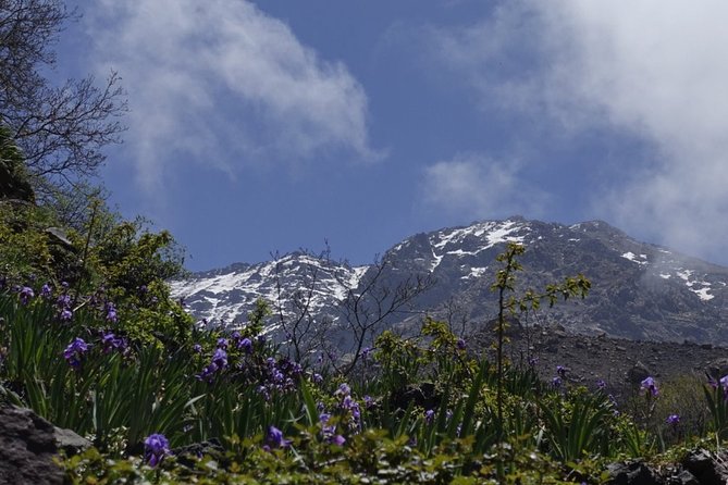 Climb Mount Toubkal - trekking - 3 days - Day 3 Back to Imlil: A Long Descent That Still Matters