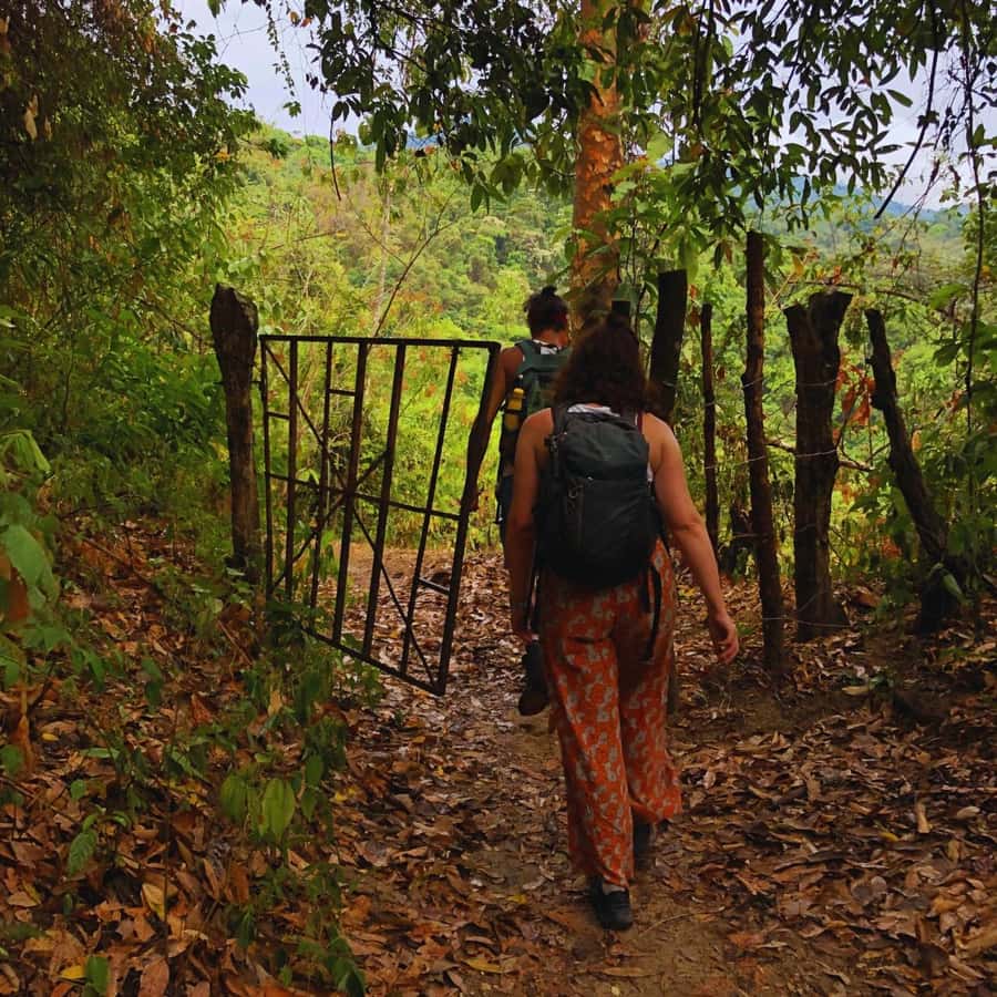 Coffee, Cocoa and Trekking Tour in Minca: Nature, Crops and Production - Puente de Minca and Minca Park: views, plants, and local stories