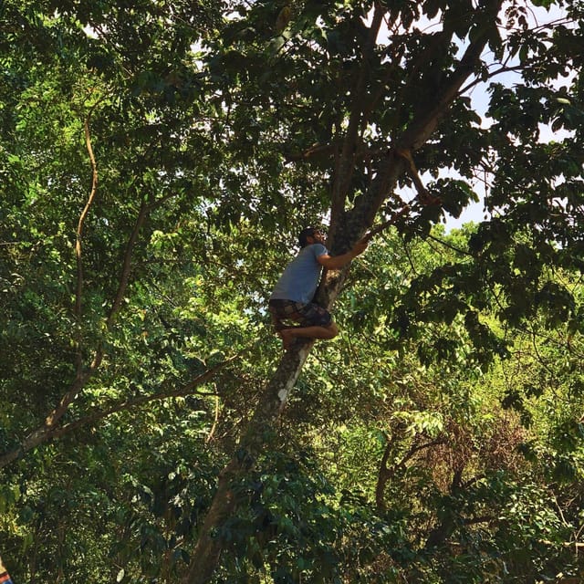 Coffee, Cocoa and Trekking Tour in Minca: Nature, Crops and Production - Tastings of organic coffee and handmade cocoa: how to make it count