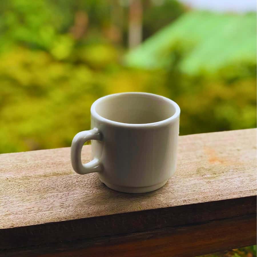 Coffee, Cocoa and Trekking Tour in Minca: Nature, Crops and Production - The hike reality: time, pace, and what to bring