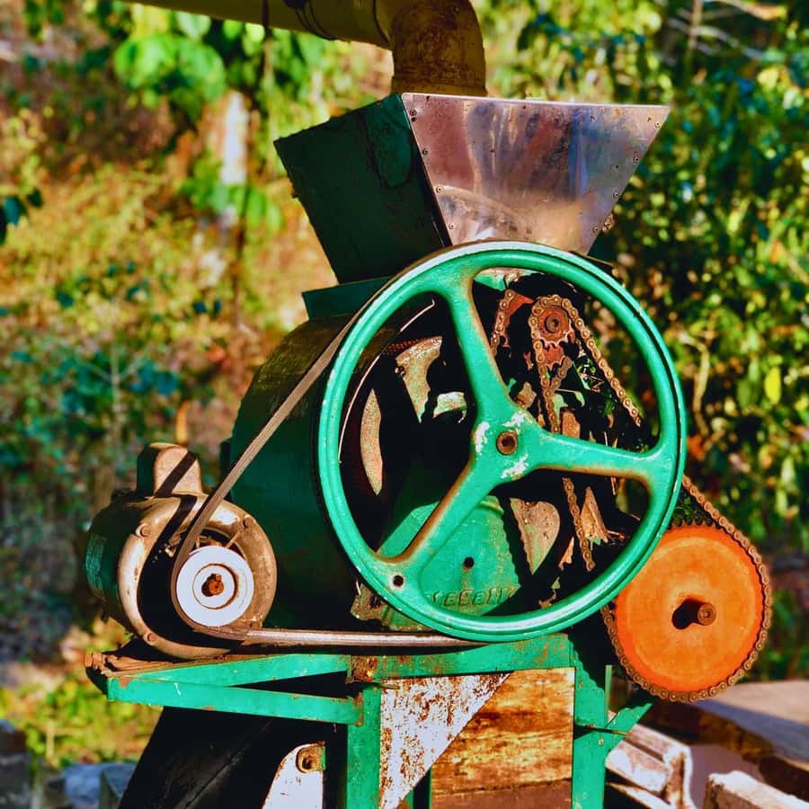 Coffee, Cocoa and Trekking Tour in Minca: Nature, Crops and Production - Price and value: why $41 can make sense here