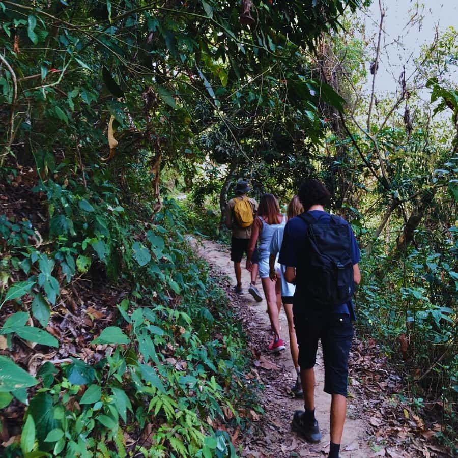 Coffee, Cocoa and Trekking Tour in Minca: Nature, Crops and Production - Who this tour is best for (and who should skip it)