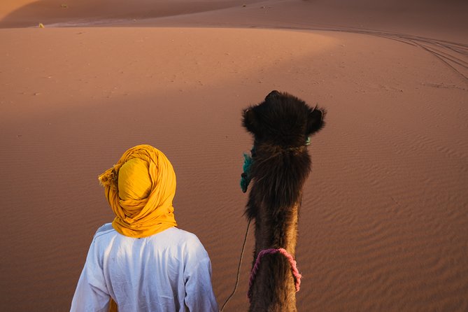 Combined Tour: Atlas Mountains Trek and Sahara Desert 5 days Tour - Summit push on Jebel Toukbal: early start, big views