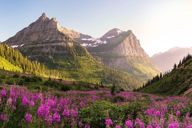 Combo Tour: Driving and Snowshoe Trek of Glacier National Park - Key things I’d pay attention to