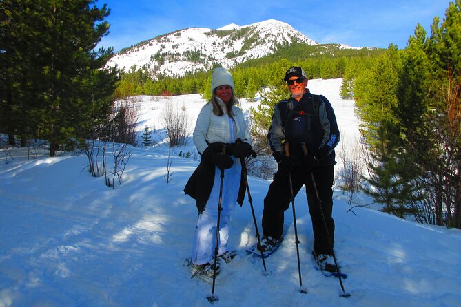 Combo Tour: Driving and Snowshoe Trek of Glacier National Park - Price and value: what a $0.00 listing can signal