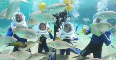 Costa Teguise : Underwater Sea Trek Experience - Gear Up With Confidence: Helmet, Wetsuit, and Clear Instructions