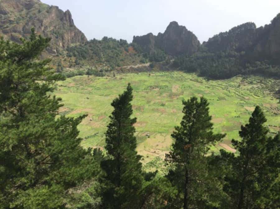 Cova–Paúl Valley Trek: Santo Antão Day Trip by Ferry - Paúl valley villages and crops: why this trek feels real