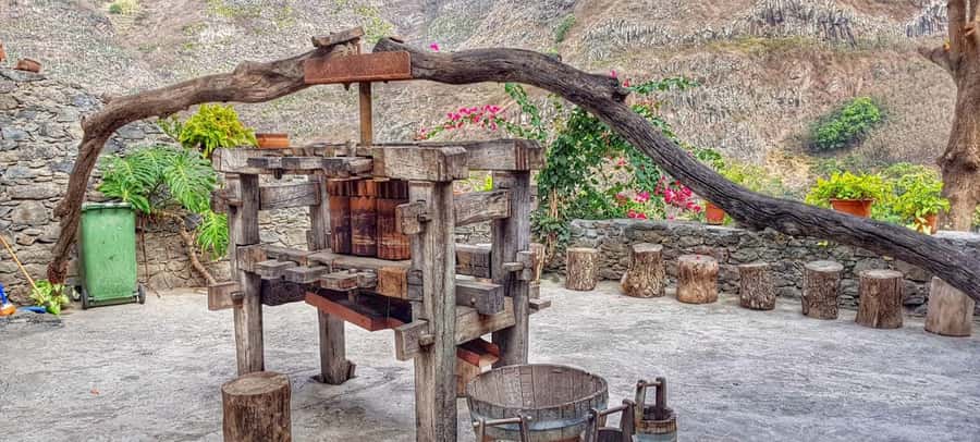 Cova–Paúl Valley Trek: Santo Antão Day Trip by Ferry - Grogue distillery: rum-making as a working process