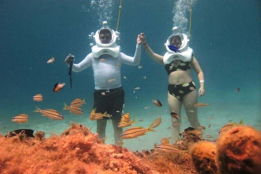 Cozumel: Sea Trek Adventure at Chankanaab National Park - Getting there: finding the Sea Trek check-in inside the park