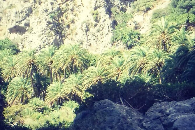 Crete: River Trekking at Preveli Beach - River Trekking at Preveli: The Warm-Day Adventure With Real Water Fun