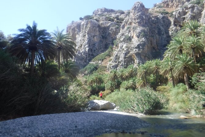 Crete: River Trekking at Preveli Beach - Safety on Rocks: Helmets, Walking Sticks, and a Close-Eye Guide