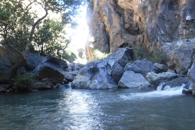 Crete: River Trekking at Preveli Beach - Gear Checklist That Actually Helps (Not Just Wishful Thinking)
