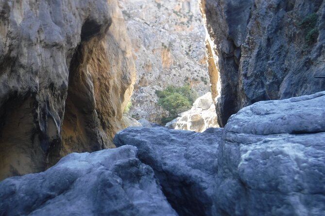 Crete: River Trekking at Preveli Beach - Value and Price: What $118.29 Buys You in the Real World
