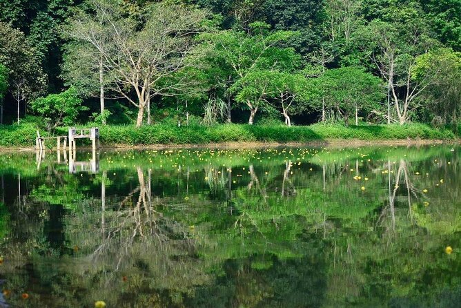 Cuc Phuong National Park Private Day Tour: Trekking & Primates - Pickup, drive time, and what 10–11 hours really means