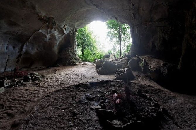 Cuc Phuong National Park Private Day Tour: Trekking & Primates - The jungle trek: what the physical side is like