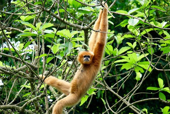 Cuc Phuong National Park Private Day Tour: Trekking & Primates - Service details that make it feel truly private