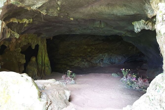 Cuc Phuong National Park Private Day Tour: Trekking & Primates - Value check: is $99 per person worth it?