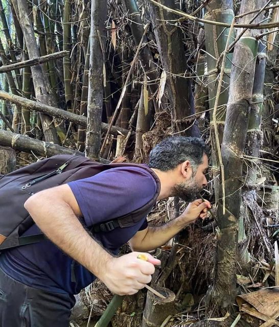 Cultural trekking and boat trip - Planting a tree in your chosen spot: a memorial you can touch