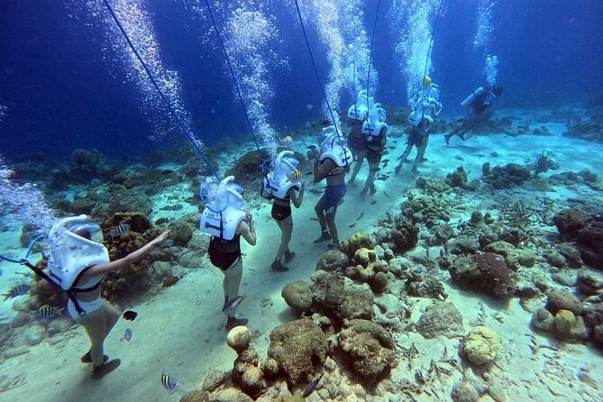 Curacao Sea Trek Snuba Combo Walk Tour and Dive the Ocean - Key Things You’ll Notice Right Away