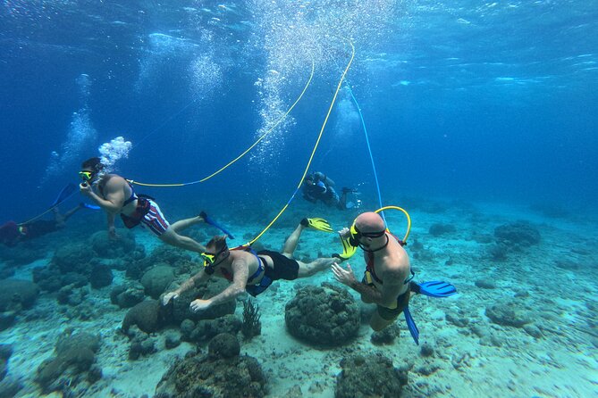 Curacao Sea Trek Snuba Combo Walk Tour and Dive the Ocean - Sea TREK + SNUBA at Marie Pampoen Beach: A Smart Setup for Mixed Abilities