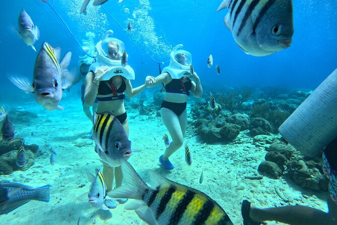 Curacao Sea Trek Snuba Combo Walk Tour and Dive the Ocean - SNUBA on a Surface Air Hose: A Scuba Feel Without the Training