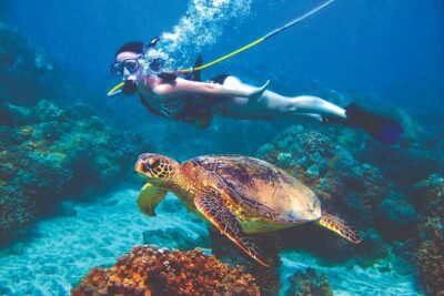Curacao Sea Trek Snuba Combo Walk Tour and Dive the Ocean - The 3-Hour Flow: Safety Briefing First, Then Your Choice of Order
