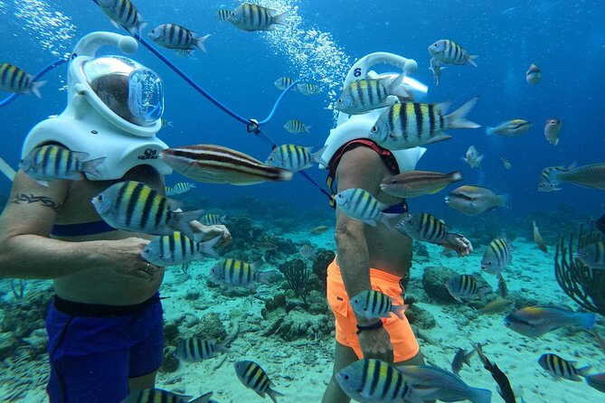 Curacao Sea Trek Snuba Combo Walk Tour and Dive the Ocean - Price and Logistics: Does $240 Make Sense for Two Underwater Activities?