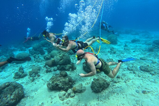Curacao Sea Trek Snuba Combo Walk Tour and Dive the Ocean - Who Should Book Sea TREK + SNUBA in Curaçao