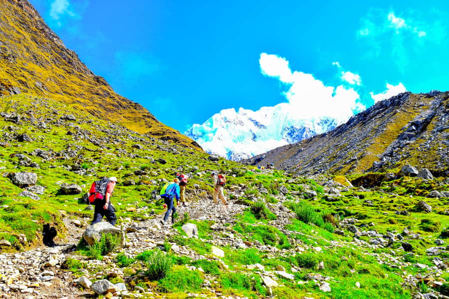 Cusco: 5-Day Salkantay Ultimate Trek to Machu Picchu - Day 2: Salkantay Pass (4,630 m) views and the drop into high-altitude jungle