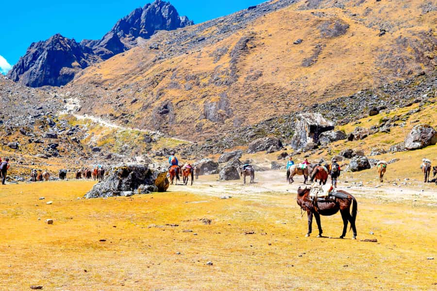 Cusco: 5-Day Salkantay Ultimate Trek to Machu Picchu - Day 3: Cloud forest waterfalls, Playa Sahuayaco, and Lucmabamba coffee-farm night
