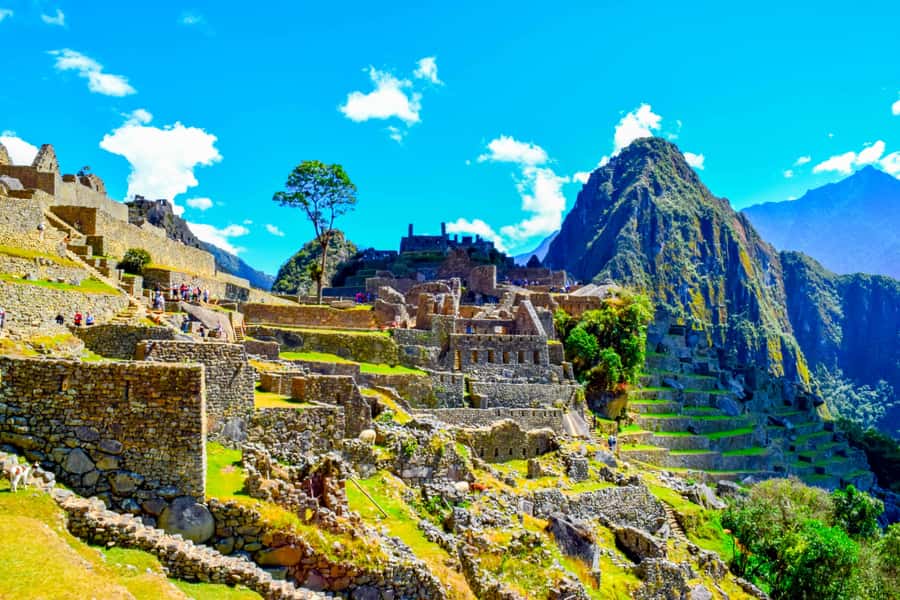 Cusco: 5-Day Salkantay Ultimate Trek to Machu Picchu - Day 5: Guided Machu Picchu tour plus Huayna Picchu or Machu Picchu Mountain