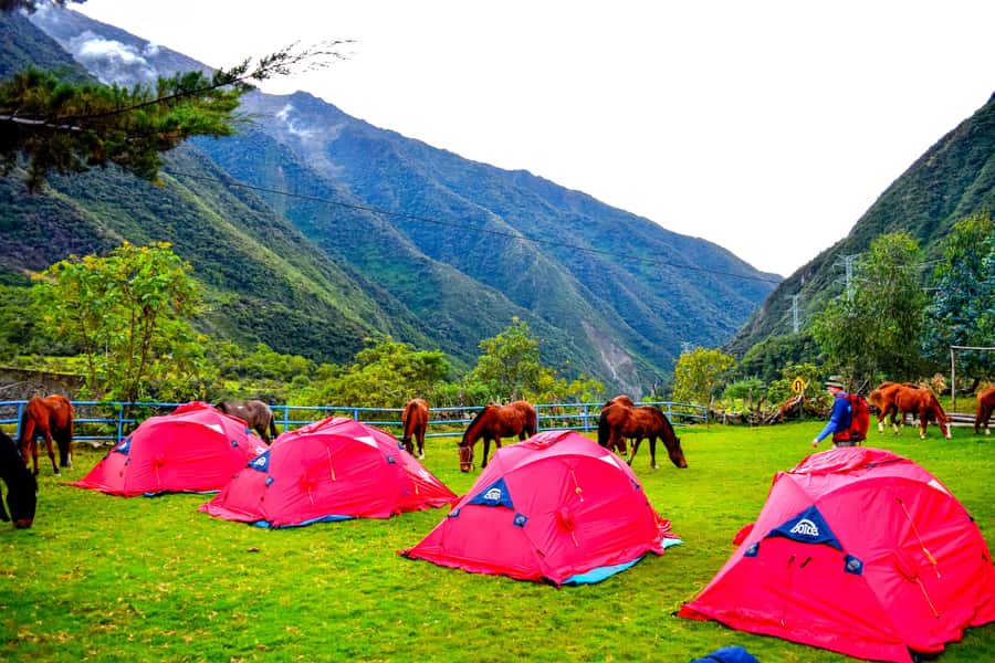 Cusco: 5-Day Salkantay Ultimate Trek to Machu Picchu - How hard is it, really: altitude, pacing, and real support