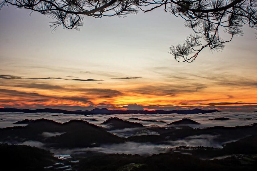Da Lat: Chasing the Sunrise - A Mini Trek Adventure - Price and Value: Why $29 Can Make Sense Here
