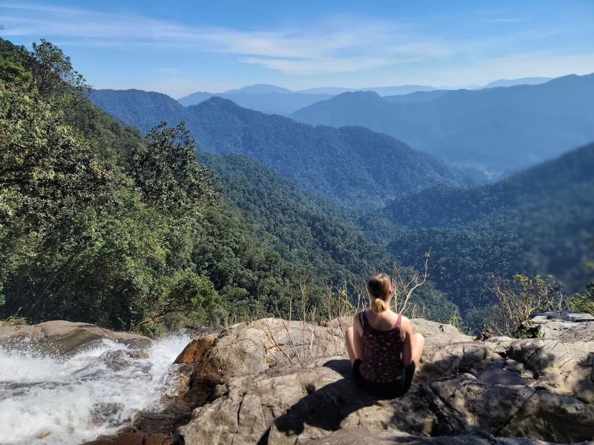 Da Nang/Hoi An to Hue via Bach Ma National Park Trekking - Bach Ma National Park check-in and a small-group trekking rhythm