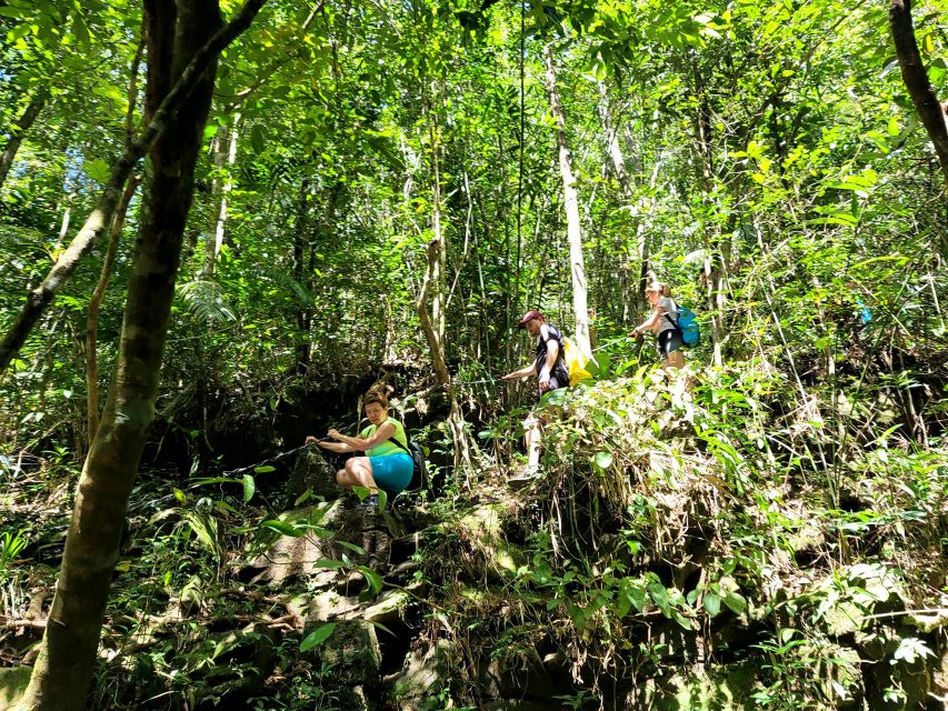 Da Nang/Hoi An to Hue via Bach Ma National Park Trekking - Pacing, fitness, and who this hike suits
