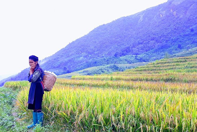 Daily Tour: Sapa Trekking in Muong Hoa valley, Bamboo forest - Muong Hoa Valley Trek: The Point Is the Views, Not the Guesswork